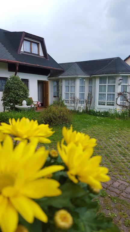 Pension Elbrs Mariańskie Łaźnie Zewnętrze zdjęcie